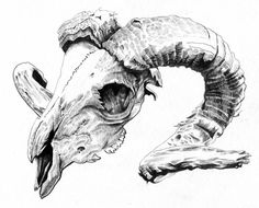 a drawing of an animal's head with long horns and large, sharp teeth