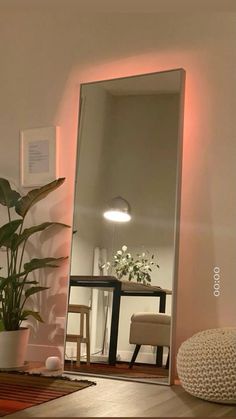 a large mirror sitting on top of a wooden floor next to a potted plant