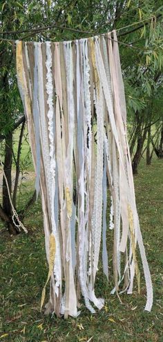 an outdoor area with grass, trees and several ribbons hanging from the line in front of it