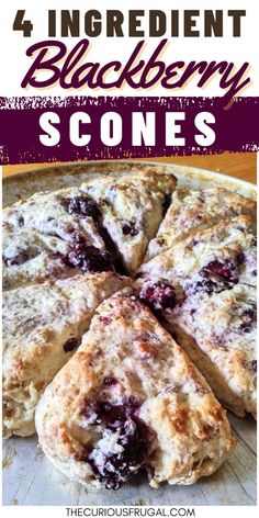 Super quick blackberry scone recipe for Saturday morning or Sunday brunch. These scones are so easy to make, and way more budget friendly compared to buying bakery scones. Using fresh blackberries, they are sweet and flaky and taste like the perfect summer treat! Blackberry Scones Recipe, Berry Scones Recipe, Blackberry Scones, Sweet Scones, Pumpkin Bagels, Peach Scones, 2024 Meals, Blackberry Dessert, Berry Scones