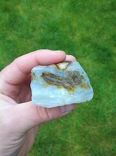 a hand holding a piece of rock with dirt on it in the middle of grass