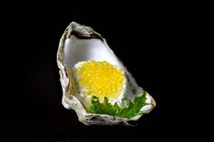 an open oyster shell filled with seaweed and yellow cauliflower florets