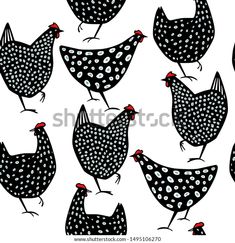 black and white hens with polka dots on them are standing in the same direction