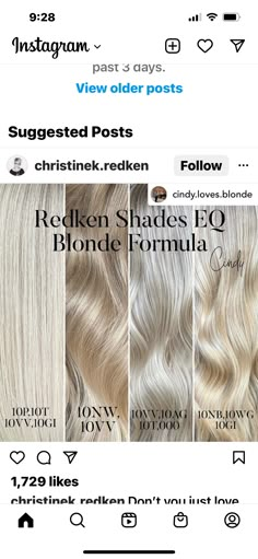 Vanilla Blonde Shades Eq Formulas, Redken Blonde Toner Formula, Redkin Eq Shades Formulas Blonde, Warm Blonde Shades Eq Formula, Redkin Eq Shades Formulas, Blonding Specialist, Hair Toning