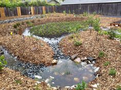 a small pond in the middle of a yard