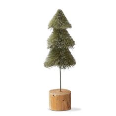 a small pine tree sitting on top of a wooden stump