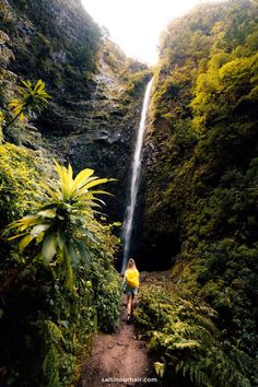 a person standing at the base of a waterfall with trees and bushes surrounding it, looking up into the sky