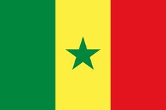 the flag of guinea is shown in red, green and yellow with a star on it