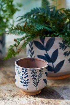 two potted plants sitting on top of a wooden table next to another planter