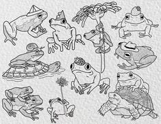 frogs and toades are drawn in black ink on white paper with the words,'frog