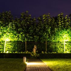 a pathway lit up with lights in the grass