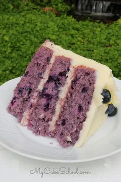 a slice of blueberry cake on a white plate with green grass in the background