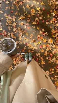 the view from above looking down at a person's feet with their shoes on