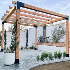 a wooden pergoline with plants growing on it in front of a white wall