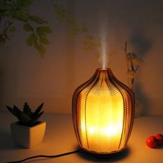 a light that is sitting on a table next to a plant and some other items