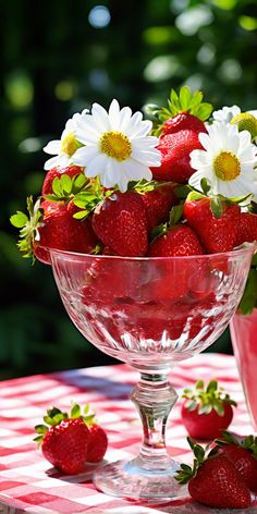 strawberries and daisies in a glass bowl on a checkered picnic tablecloth