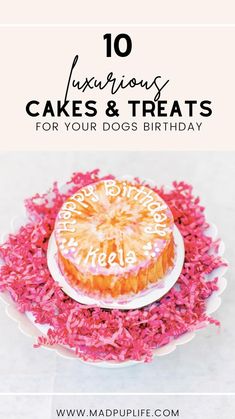 a birthday cake with pink sprinkles on it and the words, 10 luxurious cakes & treats for your dog's birthday