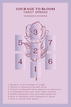 a pink poster with the numbers and symbols for each type of flower, including three different flowers