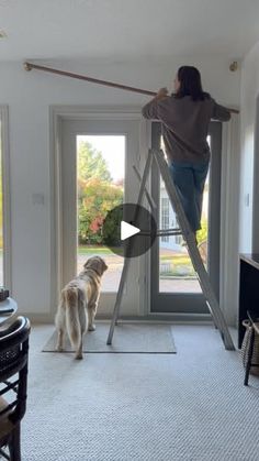 a woman standing on a stepladder with a dog in front of her