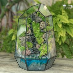 a glass vase filled with moss and rocks on top of a wooden table next to plants