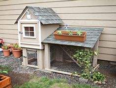 a chicken coop with plants growing in it