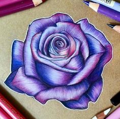 a drawing of a purple rose on a piece of paper with colored pencils next to it