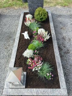 some flowers are in the dirt near a fire hydrant