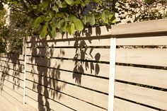 a wooden fence with leaves growing on it's sides and shadows cast on the wood