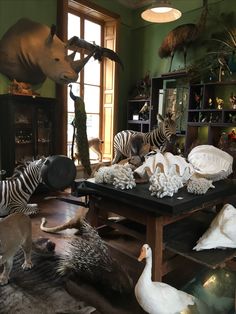 stuffed animals and zebras are on display in a room with green walls, wooden floors and shelves