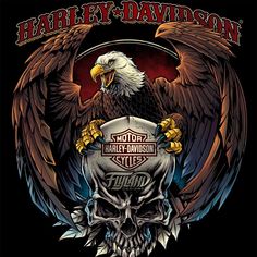 an eagle with a skull on it's back and the words harley davidson above it