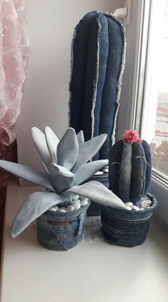 a cactus plant sitting next to a potted succulent in front of a window