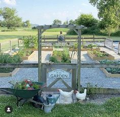 an outdoor garden with raised beds and chickens