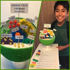 a young boy standing in front of a green bowl filled with candy and candies