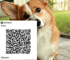 a dog is holding up a qr code to show it's ident