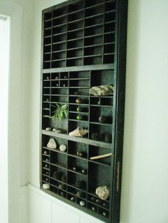 a wall mounted shelf filled with rocks and plants