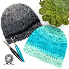 two knitted hats next to a plant and crochet needles