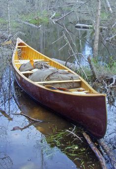 a canoe sitting on top of a river next to a forest filled with lots of trees