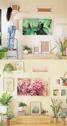 two shelves with plants and pictures on them