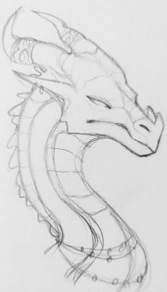 a pencil drawing of a dragon head