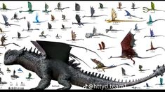 Hiccup Toothless, Types Of Dragons, Httyd Art, Hiccup And Toothless, Dreamworks Dragons, Dragon Sketch, Httyd Dragons, Dragon Trainer, Dragon Rider