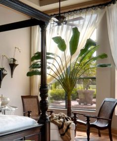 a bedroom with a four post bed and lots of plants in the window sill