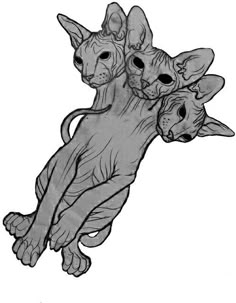 two sphydrah cats sitting next to each other on top of one another