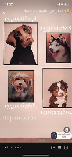 four pictures of dogs on a wall with the same dog's name and address