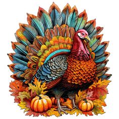 a turkey with feathers and pumpkins on the ground