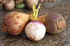 three turnips sitting on top of a granite counter