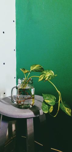 a potted plant sitting on top of a table next to a glass jar filled with water