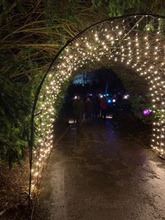 people are standing under an archway covered with lights at night in the park or forest