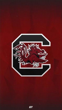 the university of south carolina logo on a red background