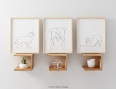 three framed pictures are on the wall above some shelves with plants and animals in them