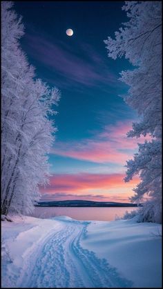 the sun is setting over a snowy landscape with trees and snow - covered ground in front of it